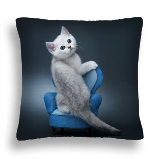 Detský dekoračný vankúš - Vankúš Cat 18 vankúš 40x40 mačiatko na kresle