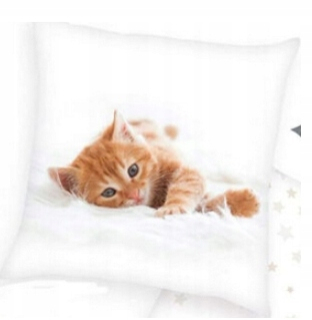 Detský dekoračný vankúš - Vankúš Cat 40x40 Kitty Kitty Kitty Jasiek