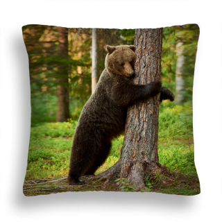 Detský dekoračný vankúš - Bunny vankúš hnedý medvedík 02 50x50