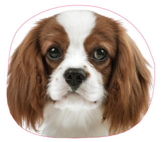 Detský dekoračný vankúš - Cavik Cavalier Spaniel Poduck