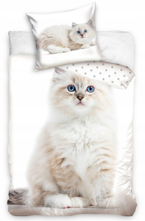Detský set paplón, vankúš - Posteľná bielizeň 140x200 Cat Cat Youth Cats