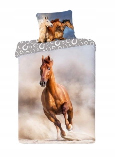 Detský set paplón, vankúš - Mládežnícka posteľná bielizeň 160x200 Bay Horse
