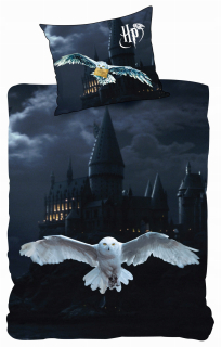 Detský set paplón, vankúš - Rokfort Harry Potter mládežnícky posteľná bielizeň 140x200