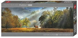 HÁDANKA 1000 JELEŇOV RÁNO