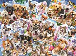 Puzzle 2000 Koláž chrliči, Anatolian