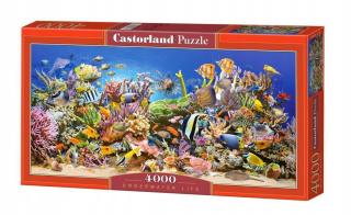 Puzzle 4000 Podmorský život Castor, Castorland