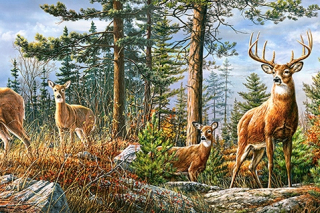 Puzzle 4000 Kráľovská jeleň rodina jeleň 0317