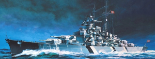 Bismarck 1/800 bojové