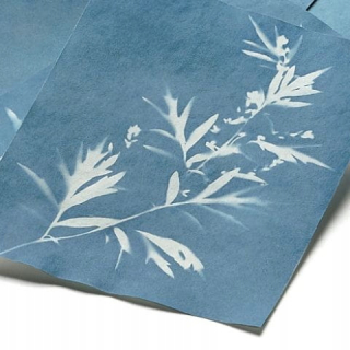 Paper Sun (Kyanotypie) - sada vzdelávacie