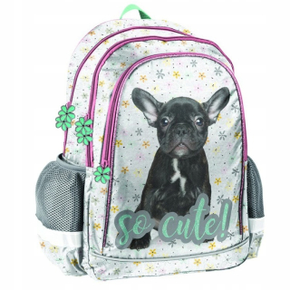Školská taška, batoh - Bulldog tak roztomilý školský batoh! Pas