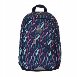Top-2000 Draco Feathers School Batoh