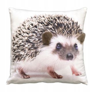 Detský vankúš - Dekoratívny vankúš 3D efekt Hedgehog 40x40 cm