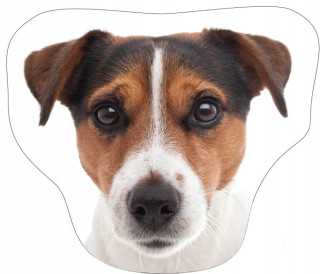Detský dekoračný vankúš - Vankúš vankúš Jack Russell Terrier Dekorácia