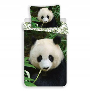 Detský set paplón, vankúš - Posteľná bielizeň 140x200 miś Panda panda listy