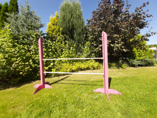 Cvičenie Ružová prekážka 120 Hobby Horse sport