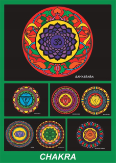 Box ColorveveVet Chakras