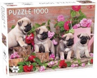 Puzzle 1000 mopslíci Zvieratá Psy šteňatá