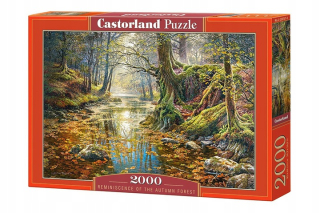 Puzzle 2000 jeseň v lese Castorland