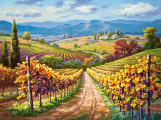 Puzzle 3000 prvky Castorland krásne vzory