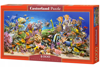 Puzzle 4000 podmorský život Castor
