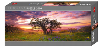 Puzzle Heye 2000el Oak pri západe slnka