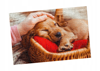 Puzzle od roku 1500 el. Vianočná hviezda darček