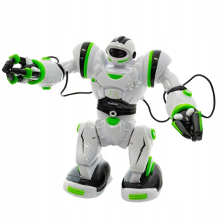 Calvin riadené programovanie robotov POHYB