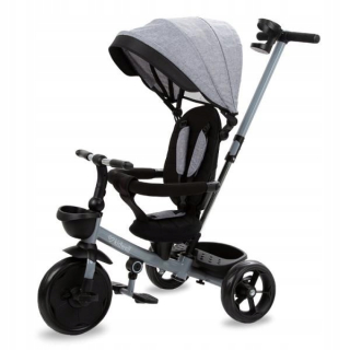 Titanium Gray Kidwell Tri -Wheeled Tri -Wheeted Bike