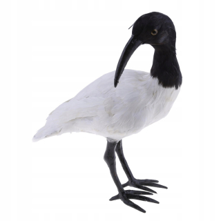 Realistická socha Animal - Ibis Black chocholatý