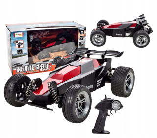BUGGY CAR AUTO RACING FOR PILOT RC 1:24
