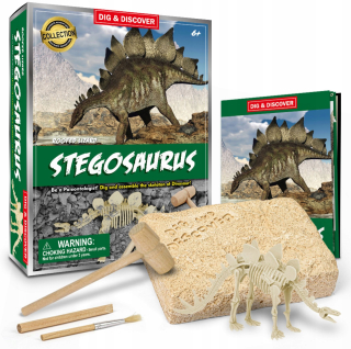 Dinosaur Stegosaurus - Speaker, Young Paleontologist