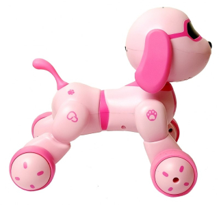 FAFIK CONTROLLED DOG hovorí DEJE spievať poľský