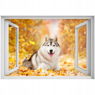 Destké samolepky - Samolepiaca 3D nálepka na okno Husky pes 120x80