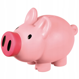 Pokladnička pre deti - Piggy Piggy Bank, Pink R73882
