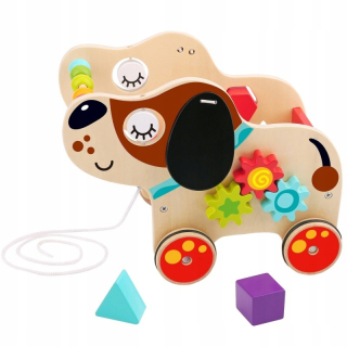 Took TOY Big Drevená triedič Dog ťahať