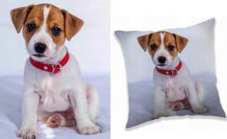 Prikrývka, prehozy na posteľ - Darčeková súprava Koc Fleece Pillow Dog Dog P
