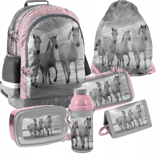 Školská taška, batoh - Nastaviť školu Paso Backpack Bag Kone Kone 6IN1