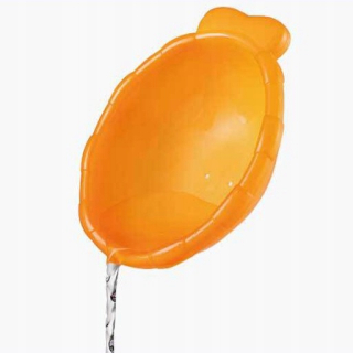 Bath toy