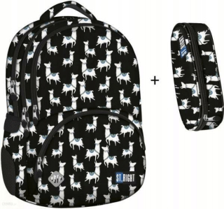 Nastaviť Stright Backpack BP-07 + SASKET LAMAS /