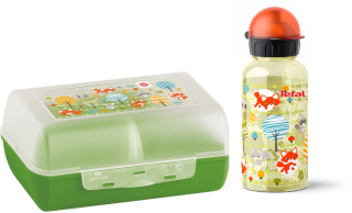 Kit Bidon a LunchBox TEFAL DRINK2GO K3169414