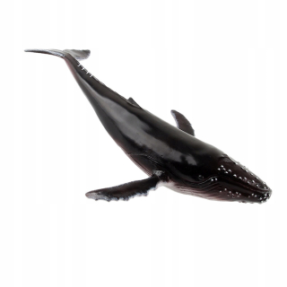zvieracie model veľryby